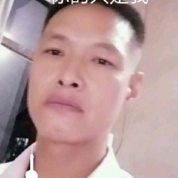 俭朴泥猴桃的照片