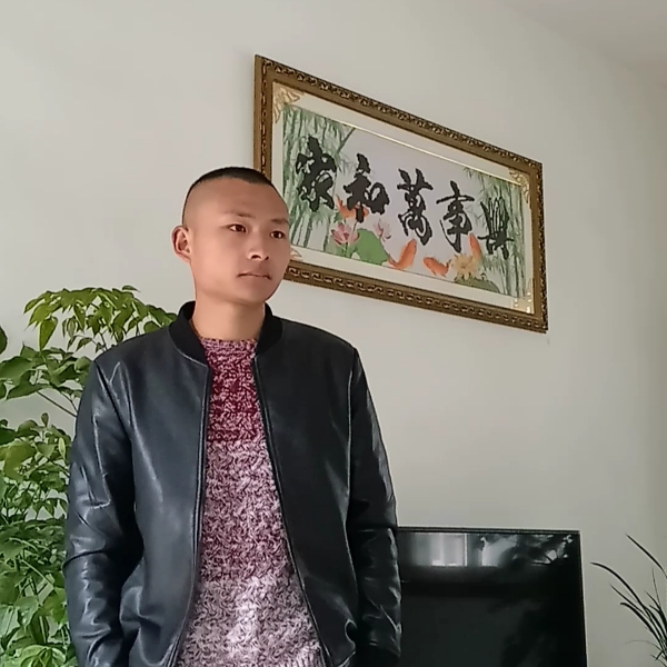 汽车浅吻平常的照片