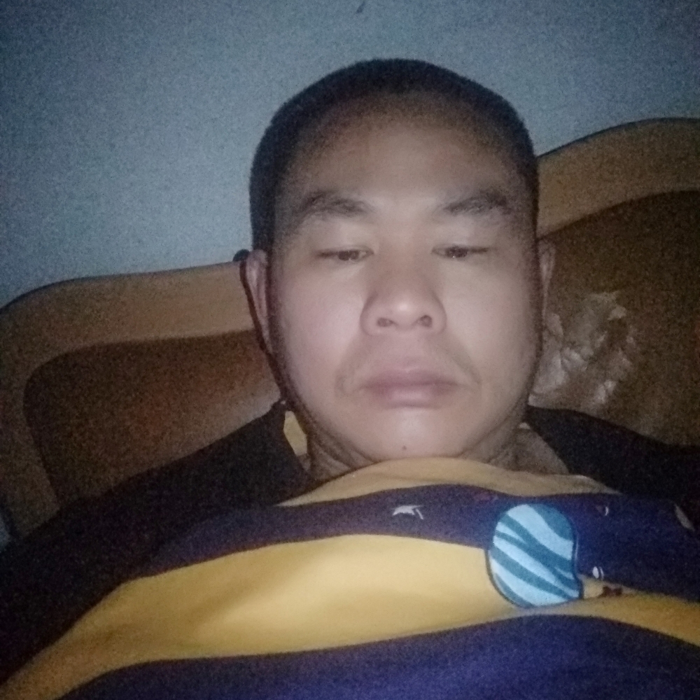 自行车合适的照片