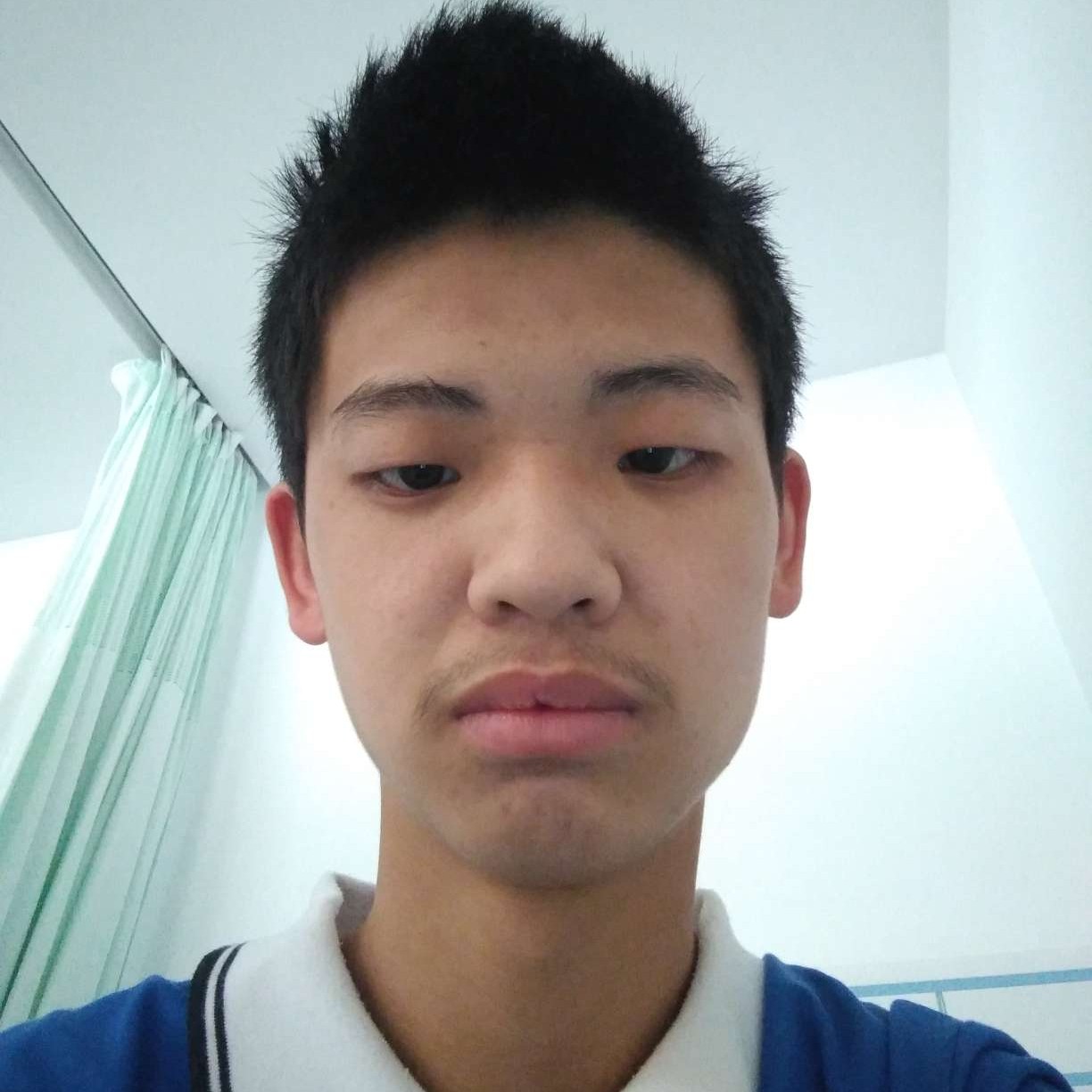 务实相许小海豚的照片