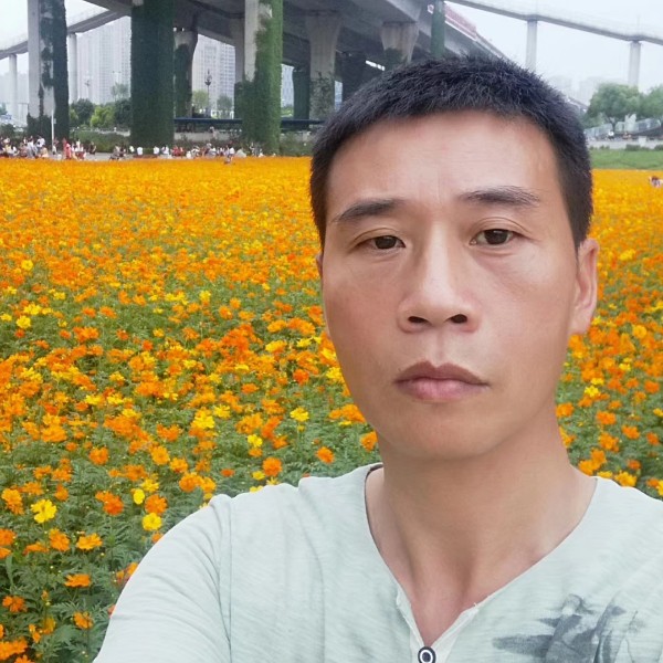 zqmx奋斗的照片