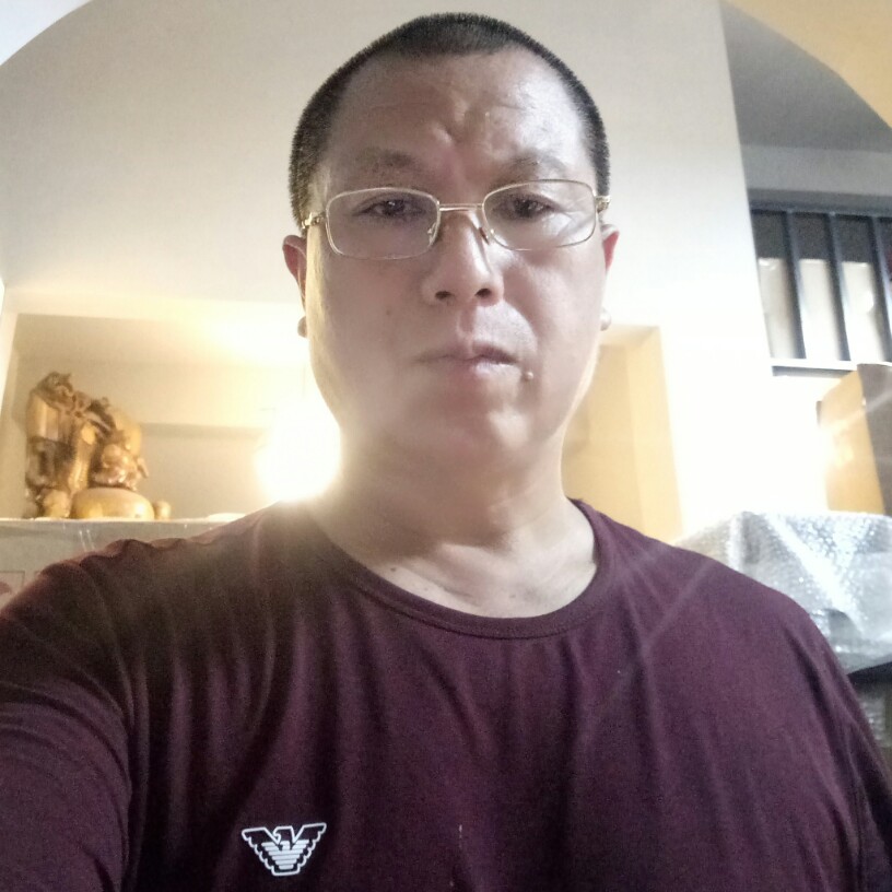 飞鸟的彩色的照片