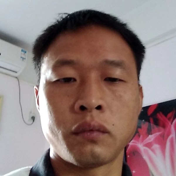 单纯蹁跹板栗的照片