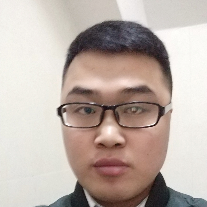 听话的洋葱的照片