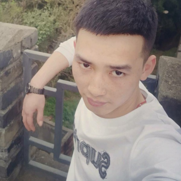 鸭子怕孤单的照片