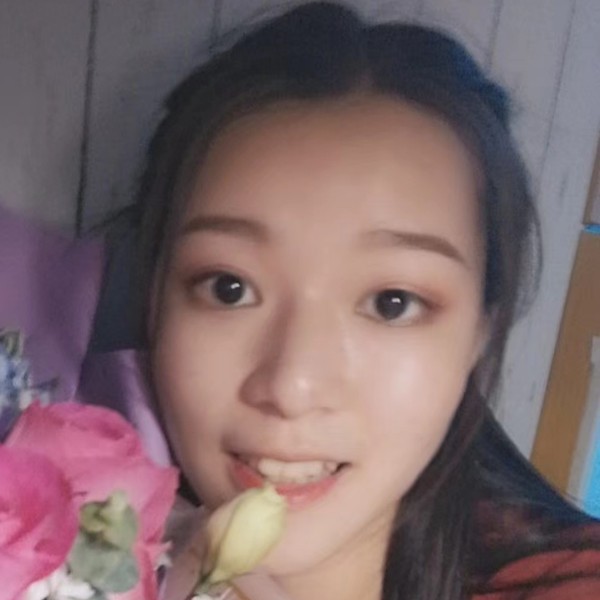 可爱用小刺猬的照片