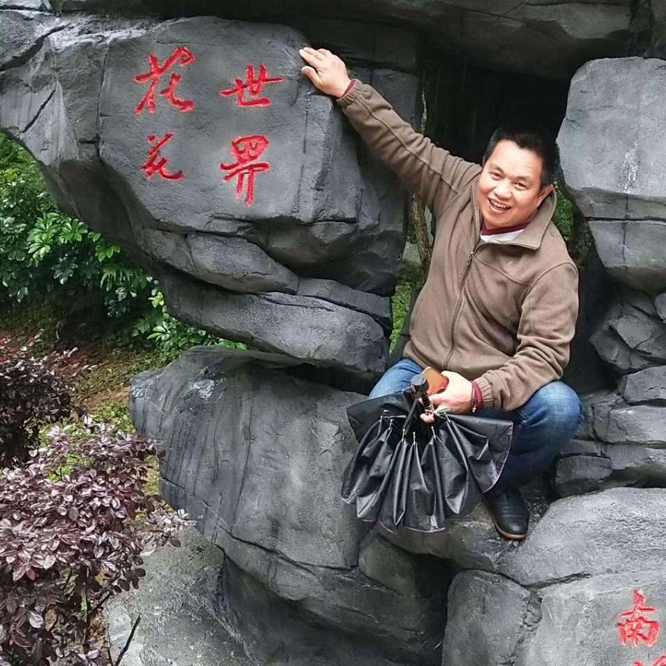 结实漫步蛋挞的照片