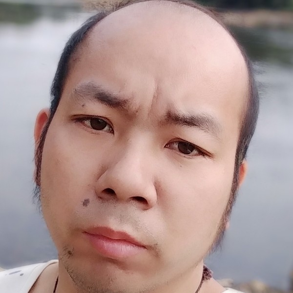 陶醉爱恋大象的照片