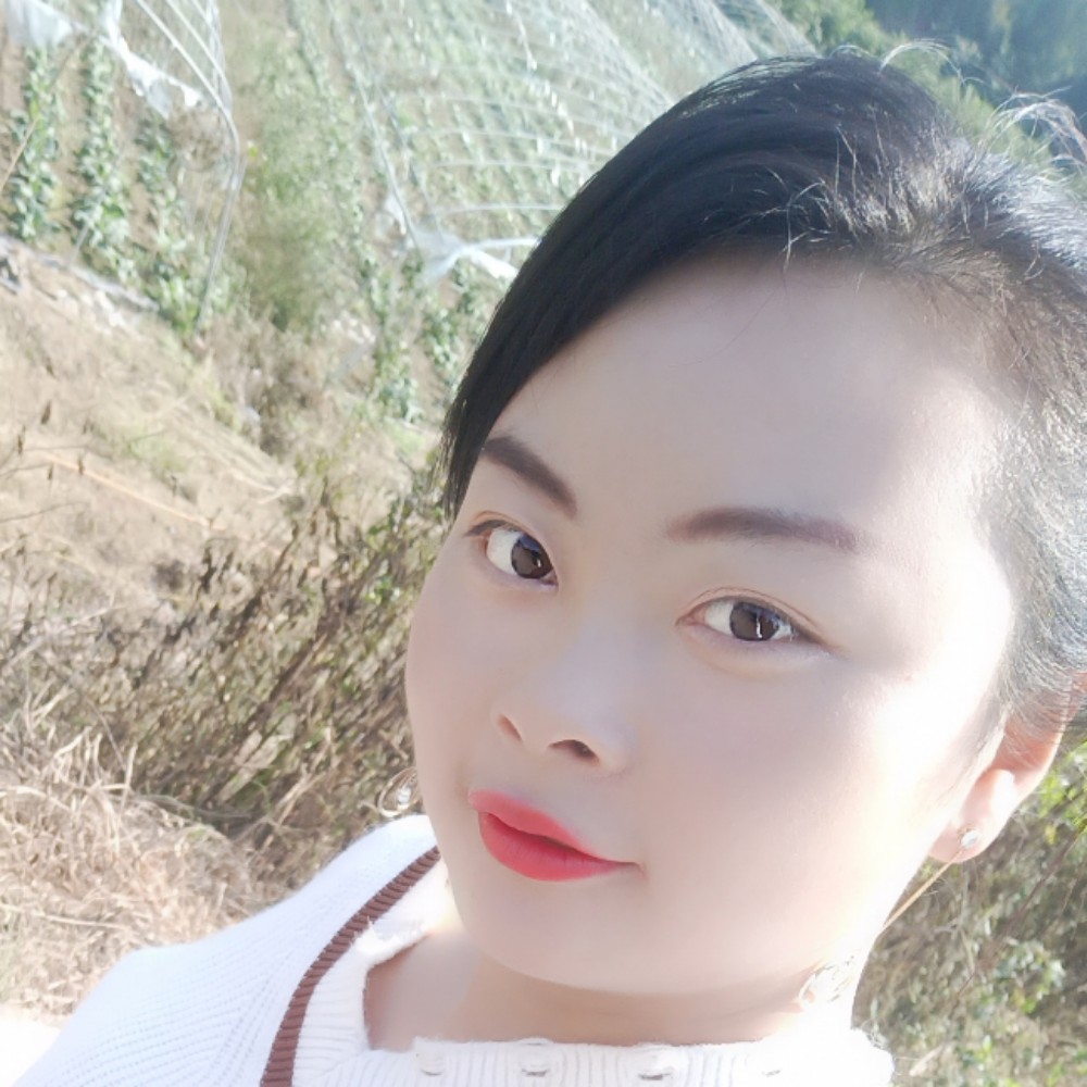 沉静蝶舞的照片
