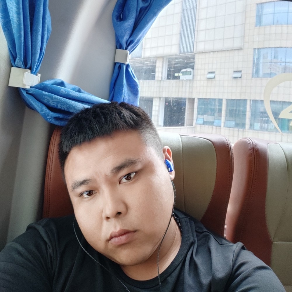 一只胖小亮的照片