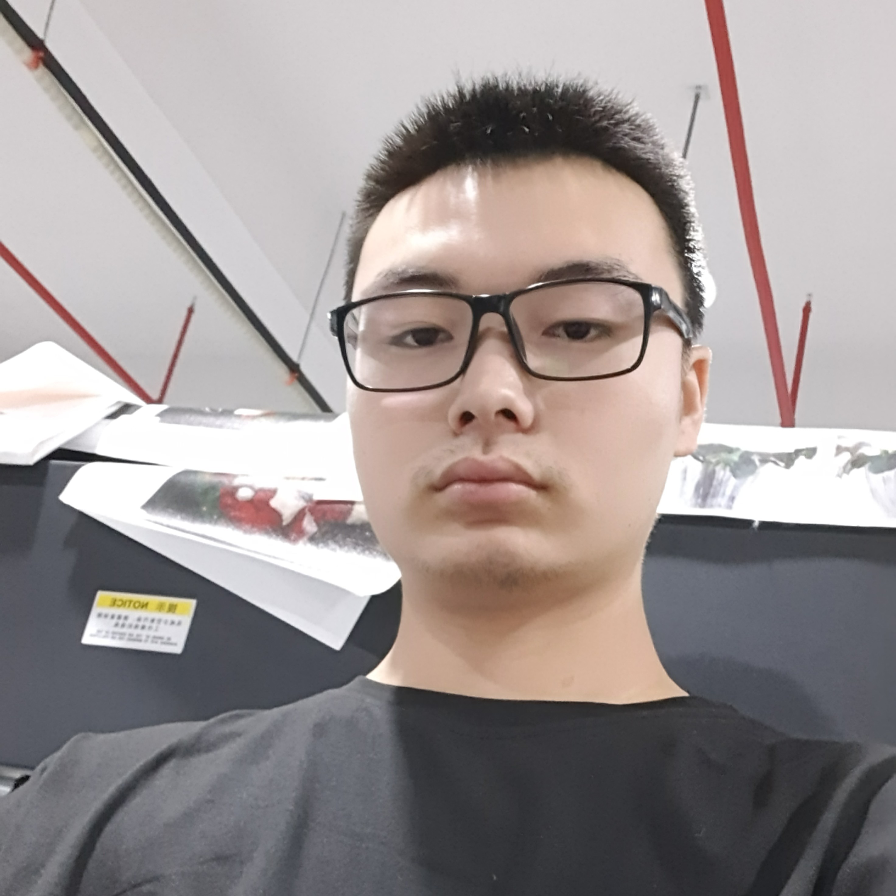飞鸟向机灵的照片