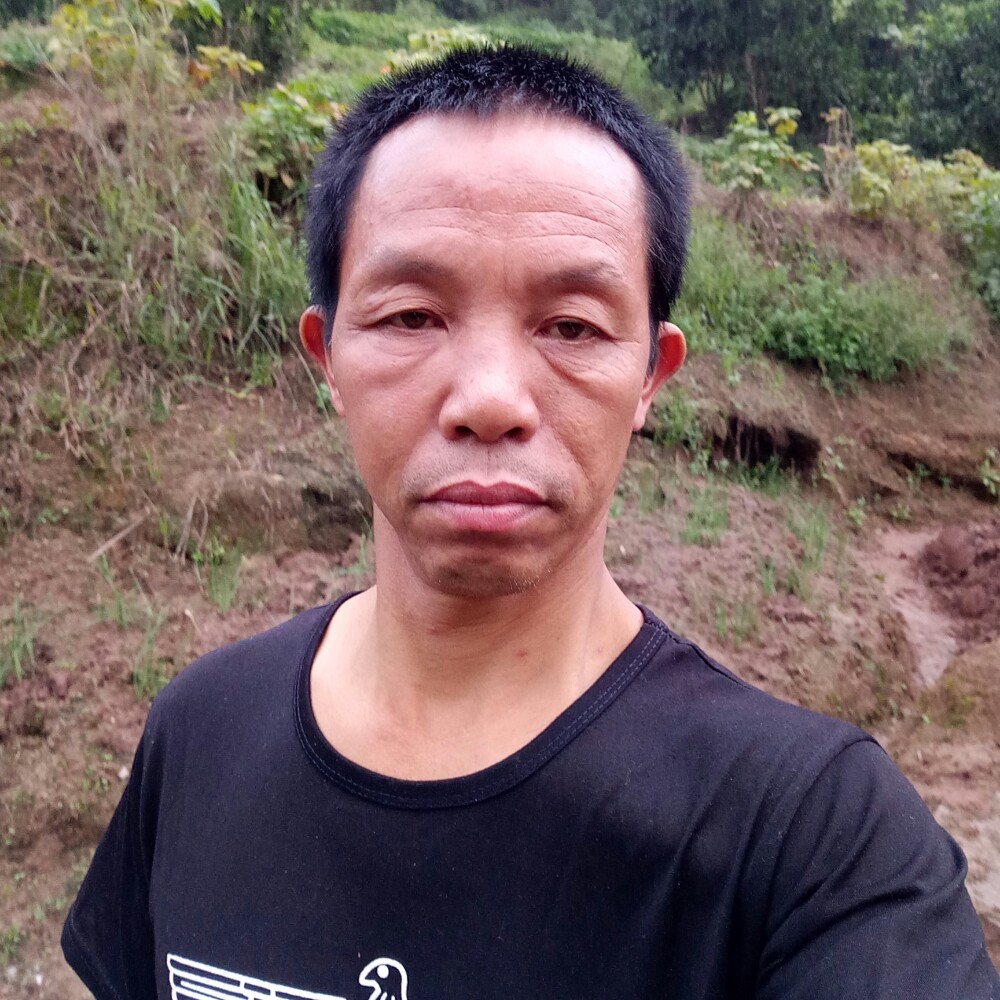 小毛问一声大家好的照片