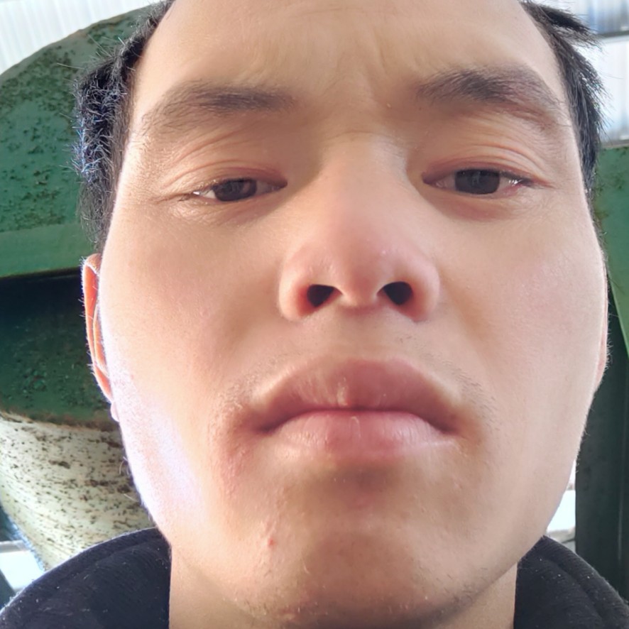 小刺猬凝眸超帅的照片
