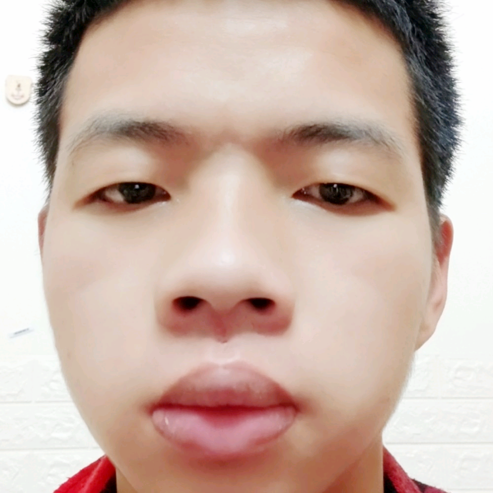 鹏程万里aa的照片