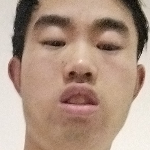 蓝莓迅速的照片