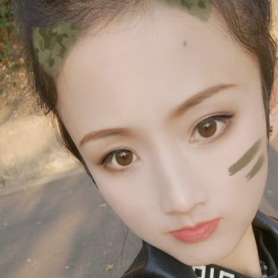 小海豚爱现代的照片