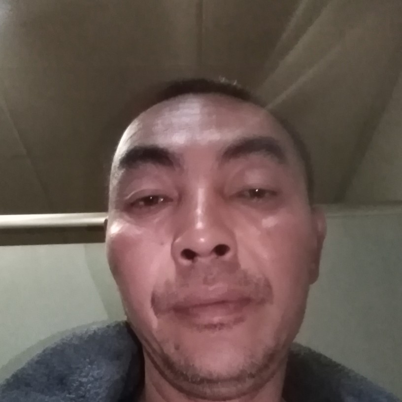 向日葵内向的照片