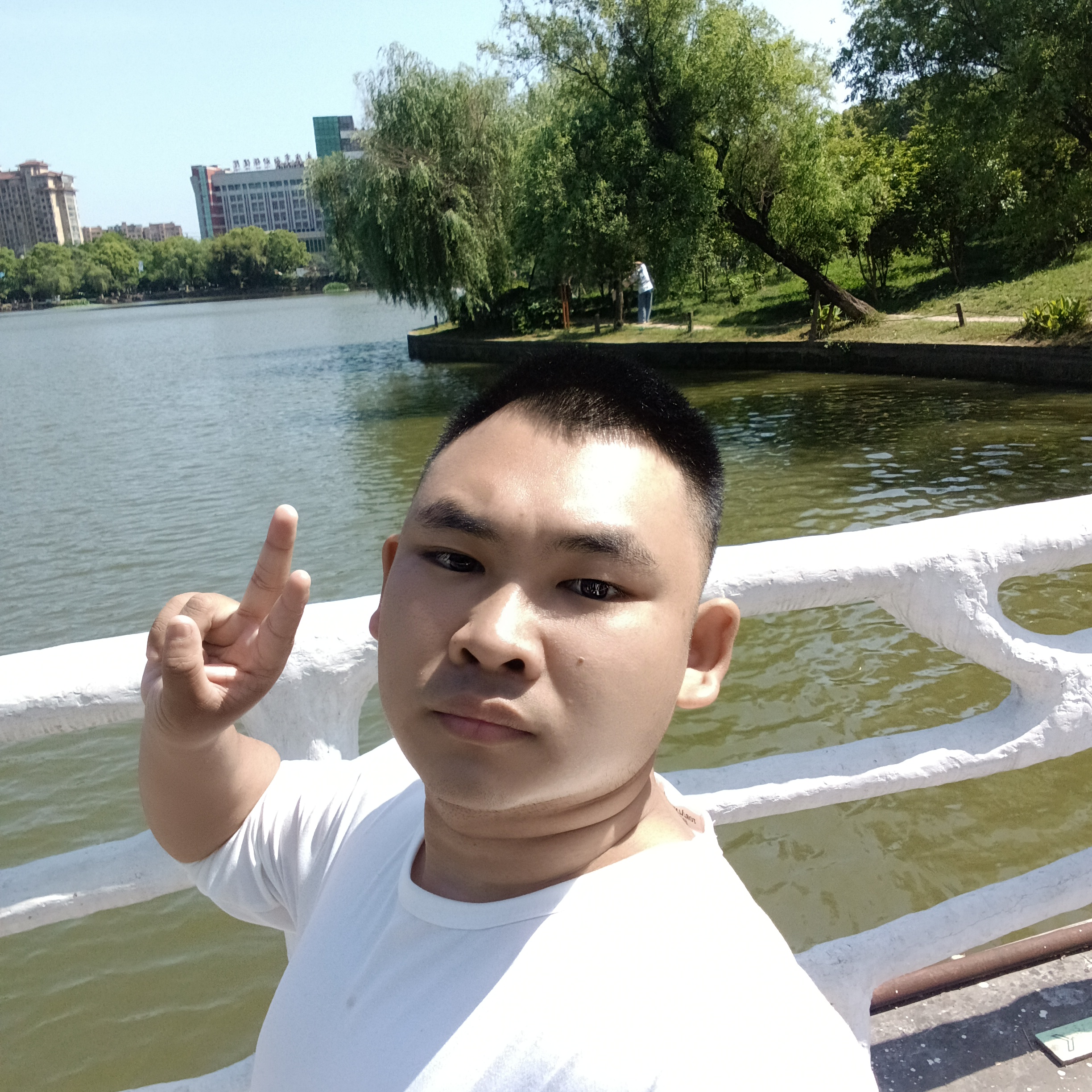 小熊猫方落后的照片