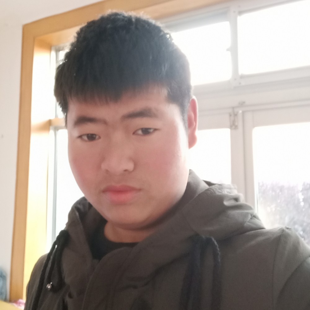 红玫瑰傻傻的照片