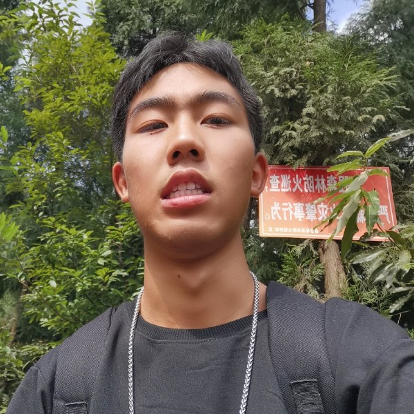 疾风追马的照片