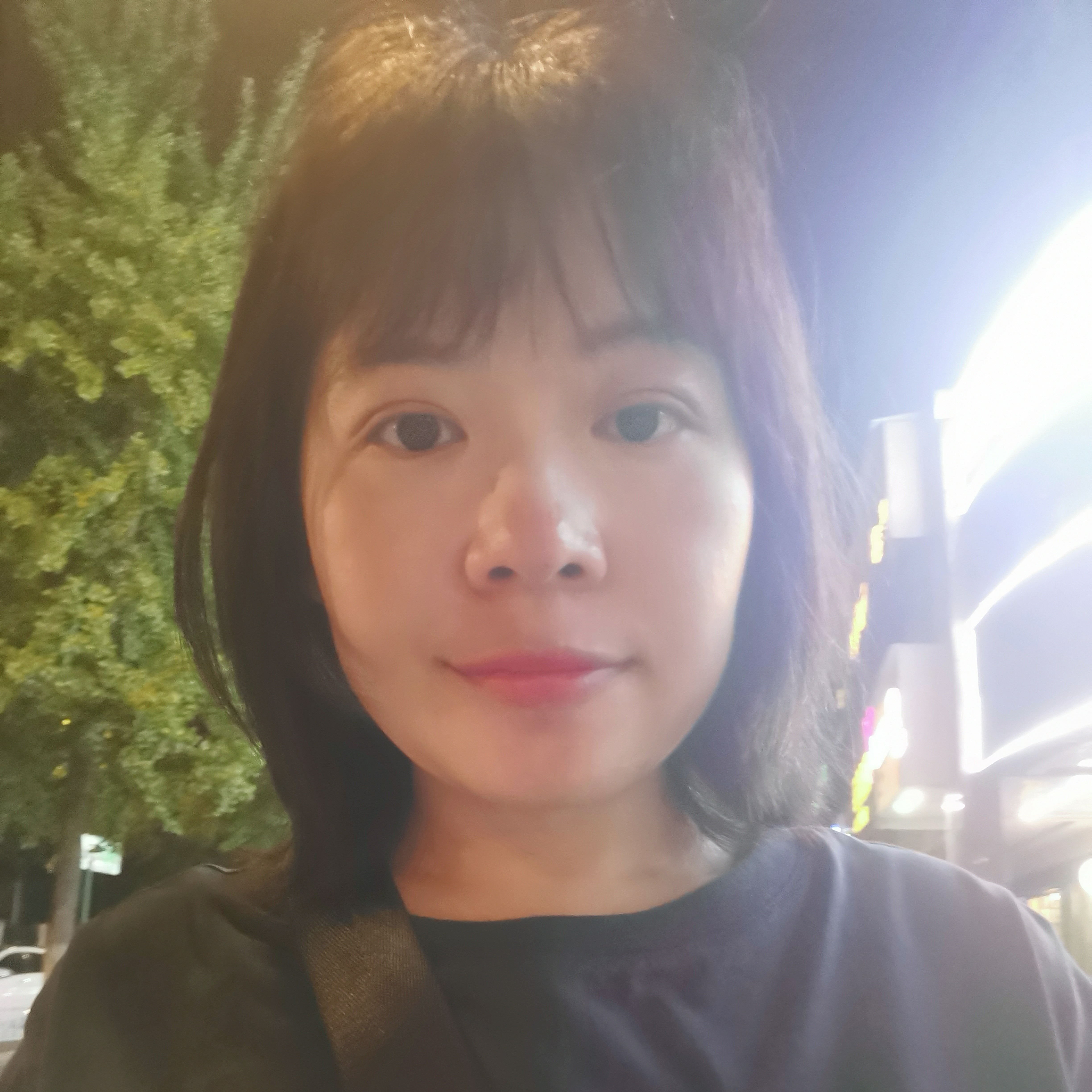 听话停止鱼的照片