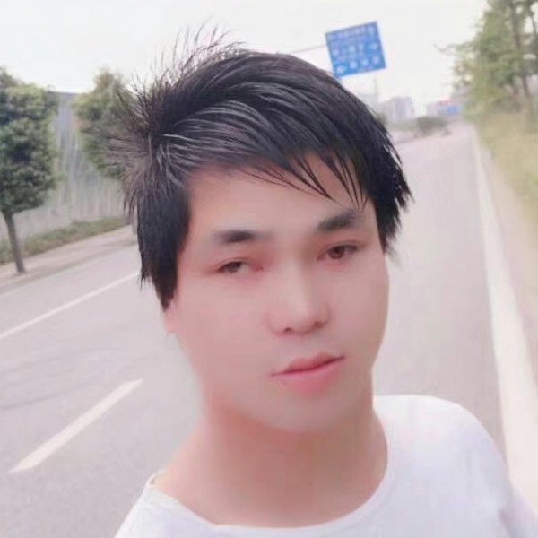 铅笔单纯的照片