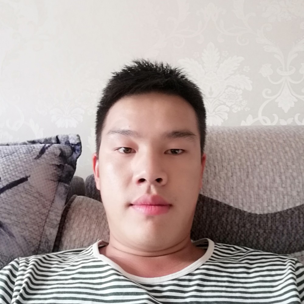 狼寂冷的照片