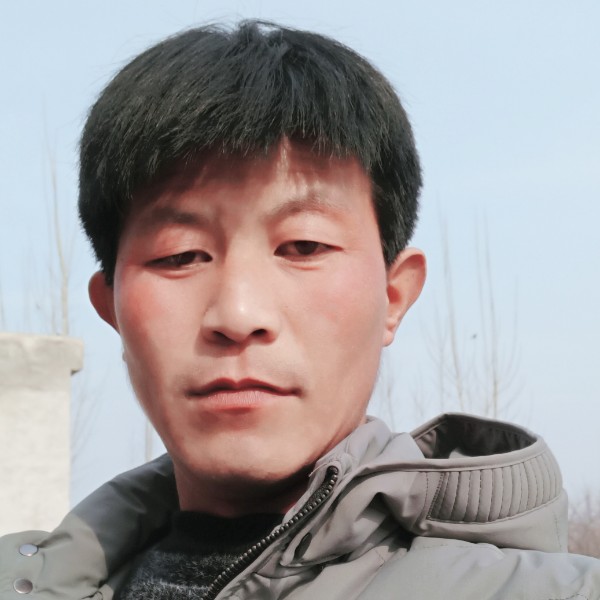 西安演变落寂的照片