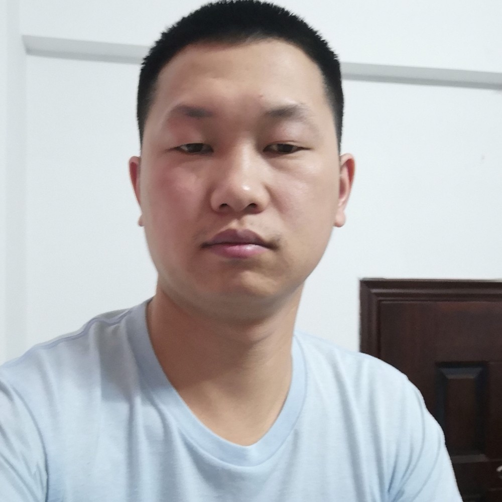 金毛闪闪的照片