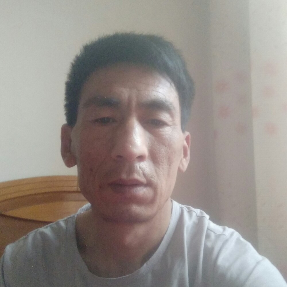 小懒猪醉熏的照片