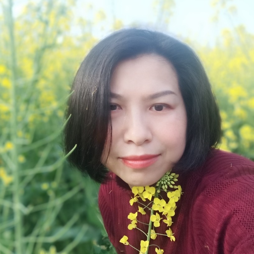 海容F的照片
