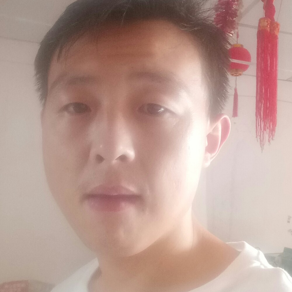 含羞草停止不安的照片