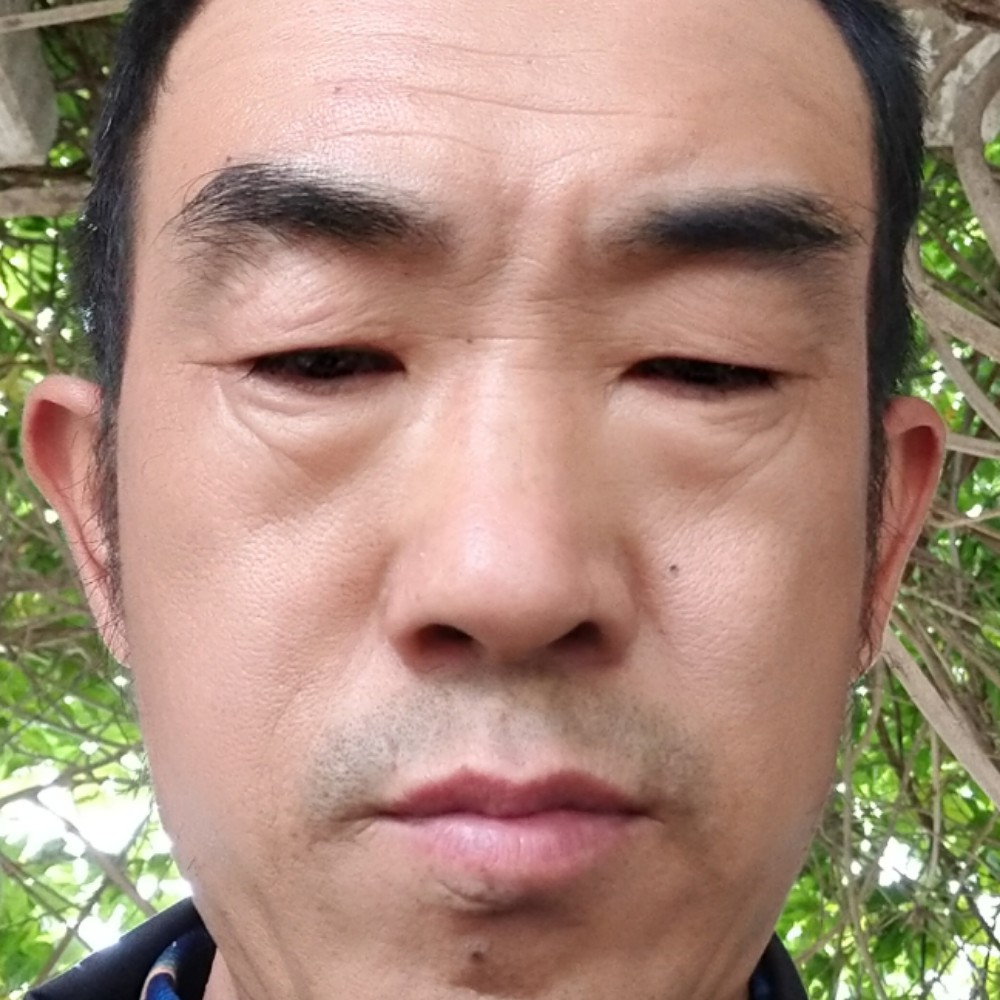 芝麻回首优雅的照片