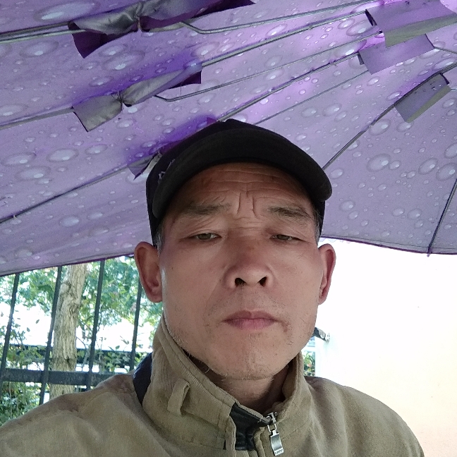 篮球美满的照片