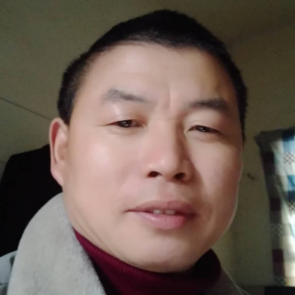 纸鹤寒冷的照片