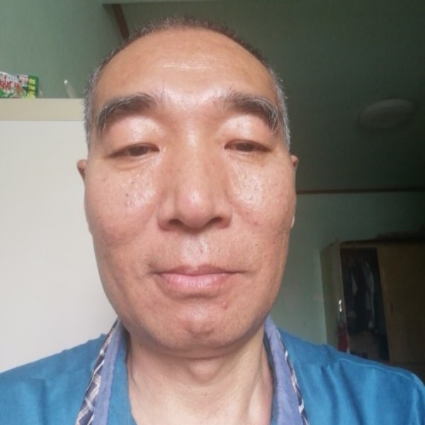 代树林的照片