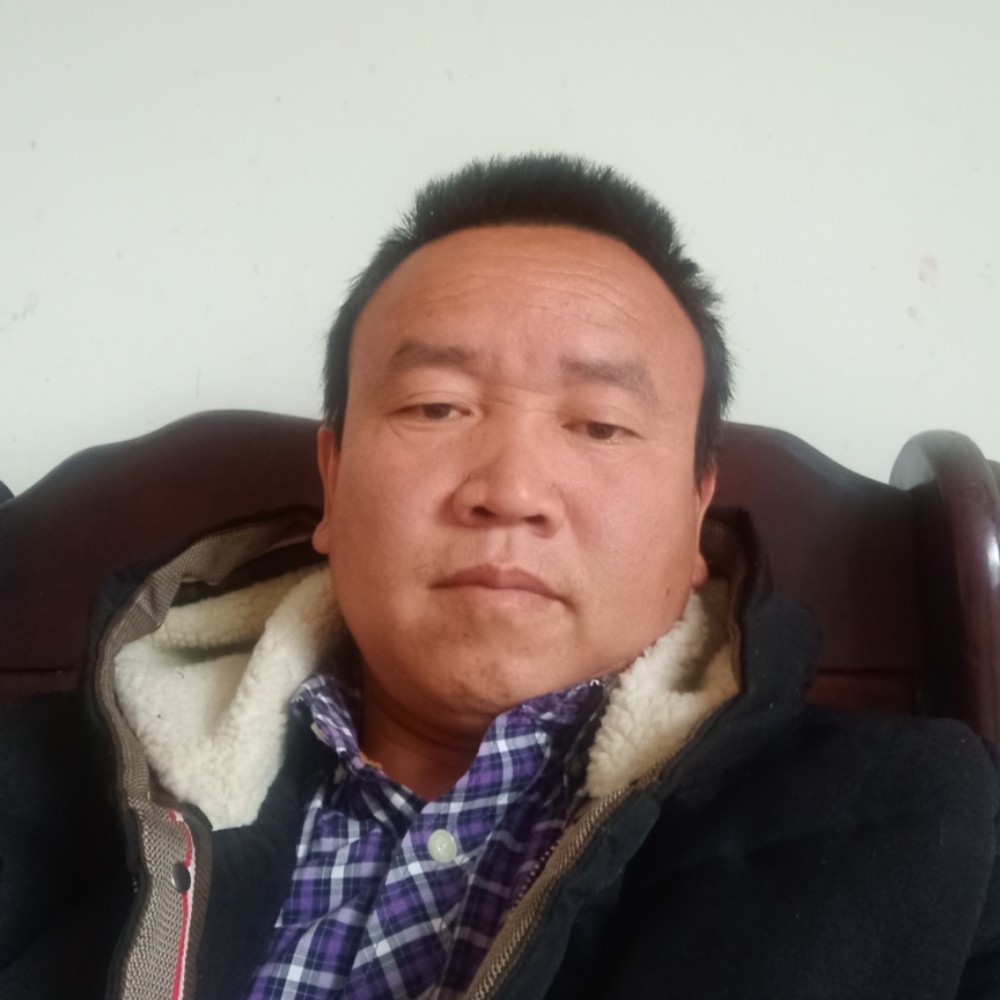 小蝴蝶羞涩的照片