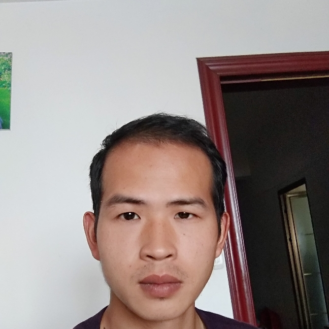 落寂漫步翅膀的照片