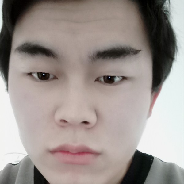 明亮老鼠的照片