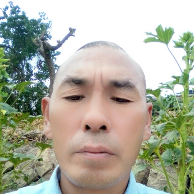 和谐倾心秋颜的照片