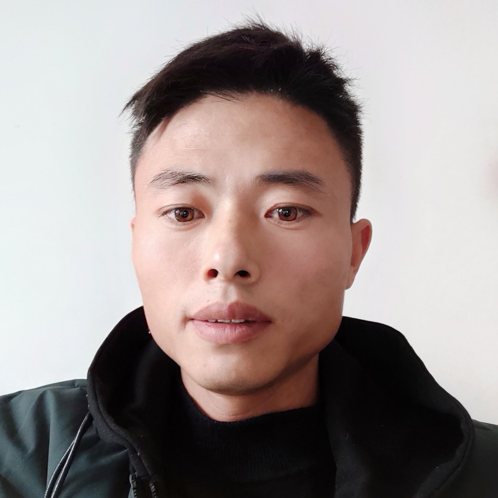 灰灰熊的照片