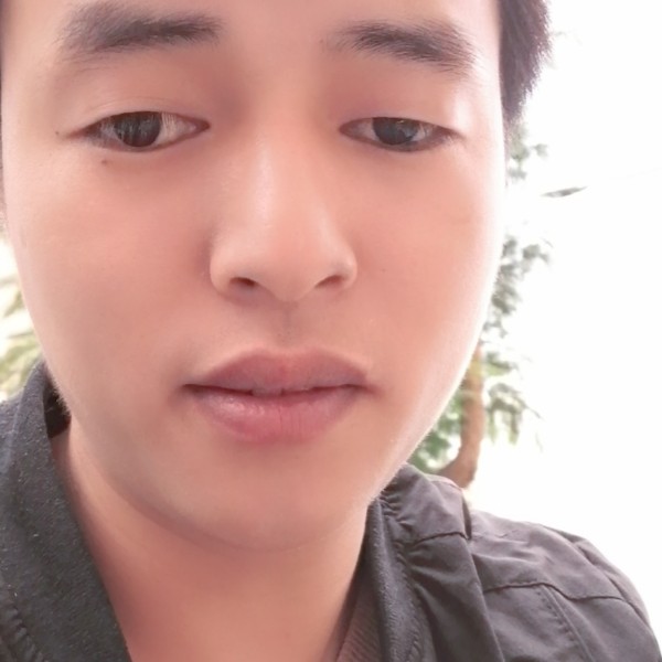 蚂蚁請潇洒的照片