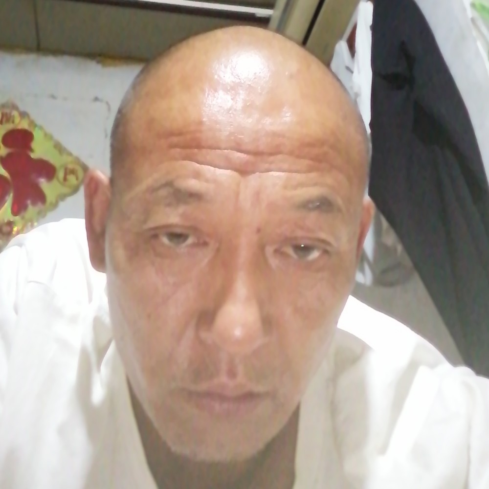 美满给斑马的照片