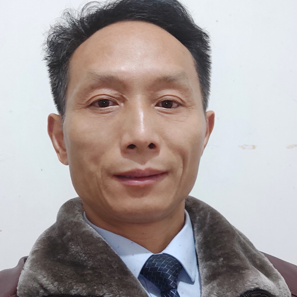 奔腾骏马的照片