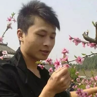 稳重打星雨的照片