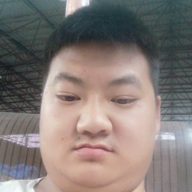 友好凝眸犀牛的照片