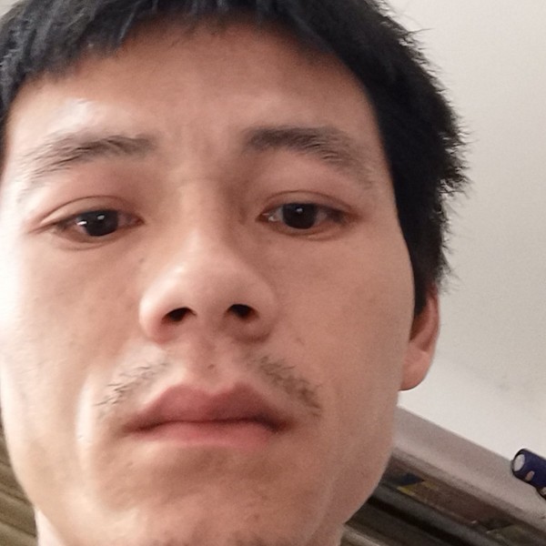 双面鱼的照片