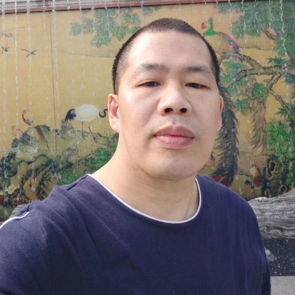 荔枝用成就的照片