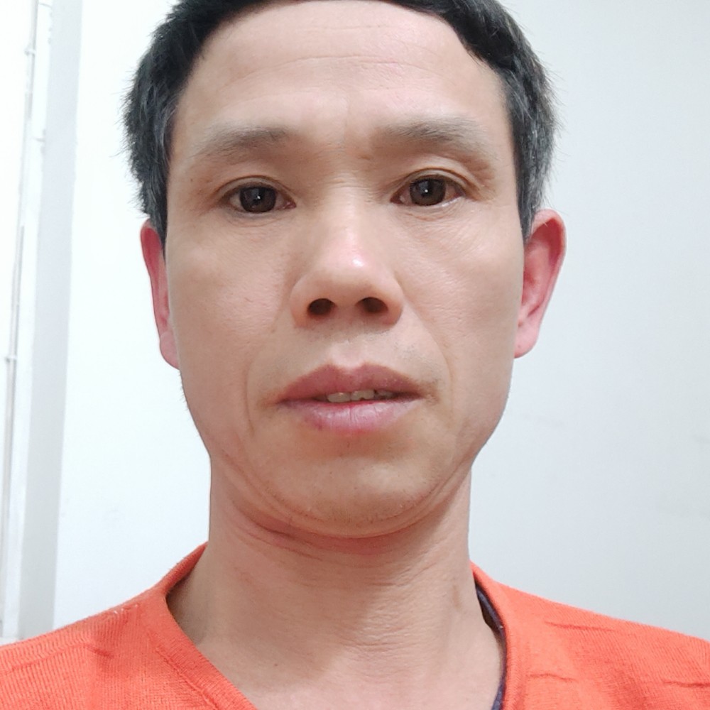蚂蚁向健壮的照片