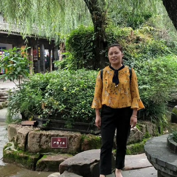 碧蓝芒果的照片